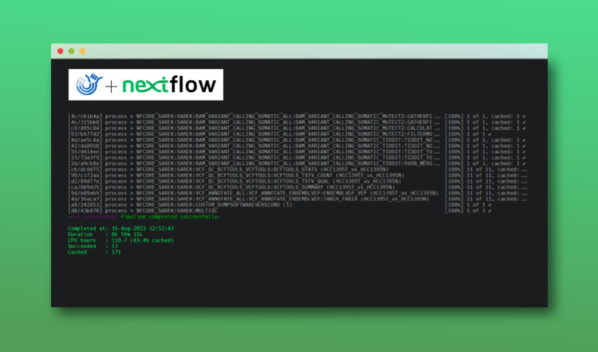 Automate Workflow Execution