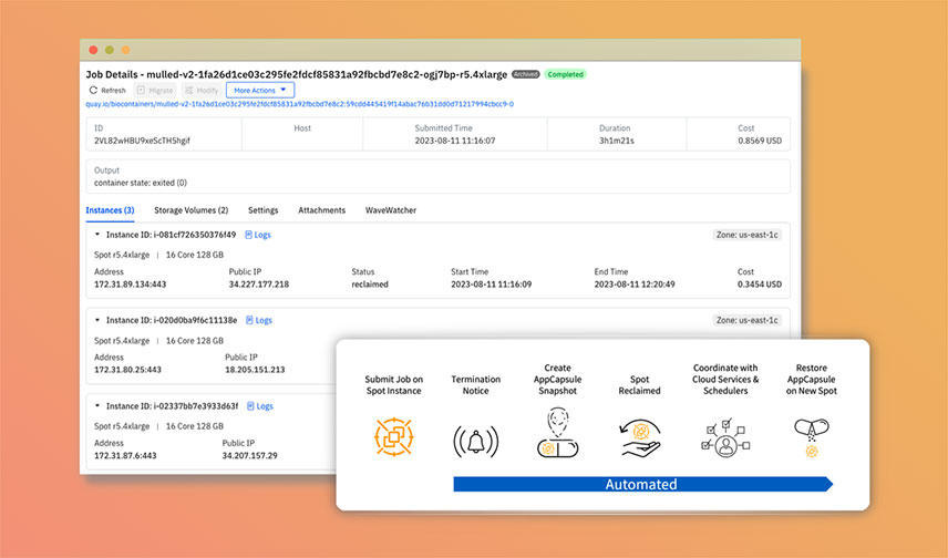 Automated Spot Checkpoint and Recovery Service